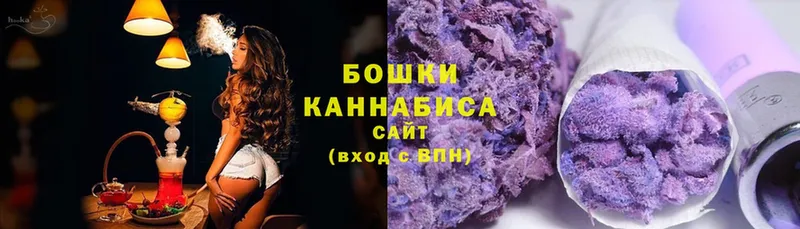 Бошки марихуана OG Kush  Бежецк 